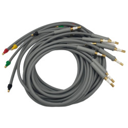 Jeu complet decapus quickels