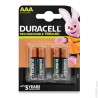 Piles rechargeables AAA