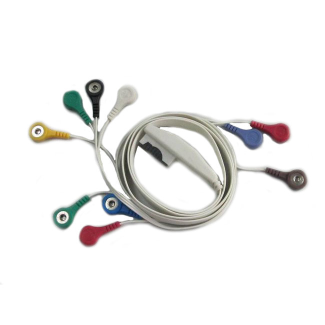 Câble patient pour holter Mortara H12/X12 (10 brins)